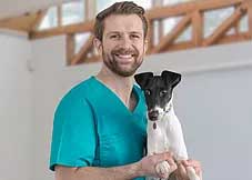 smiling bearded man in teal-green veterinarian scrubs holding a black and white small Rat Terrier dog