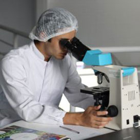 laboratory assistant examines specimen under a microscope